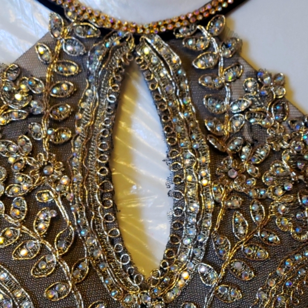 Cluster Sequin Embellished Bodice Flowy Chiffon Go - Picture 6 of 16
